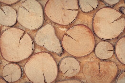 Organiczne Materiały w Nowoczesnej Aranżacji Wnętrz: Jak Zaprojektować Ekologiczny Dom