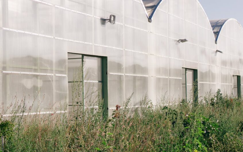 Loggia 2.0: Transparentny aerożel na balkonie – ciepło, rozproszone światło i jadalny ogród w jednym (DIY + koszty)